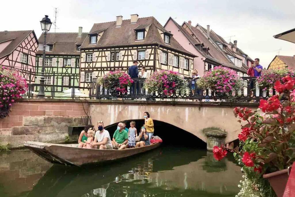 La Pommeraie Appartement Colmar